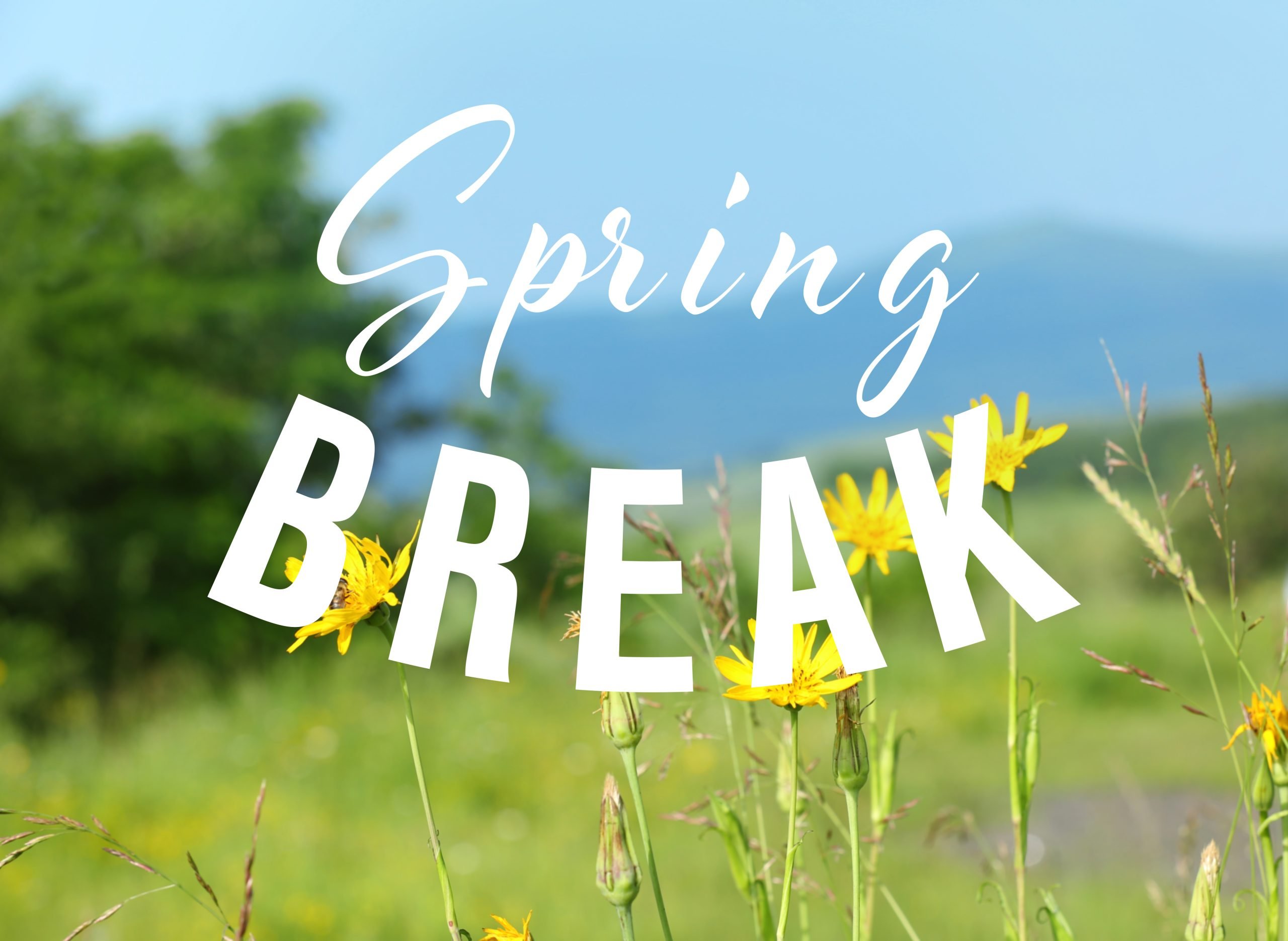 Text SPRING BREAK on nature background. Additional education concept